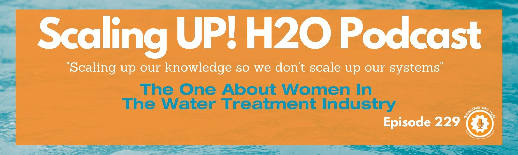 229 The One About Women In The Water Treatment Industry - Scaling UP! H2O