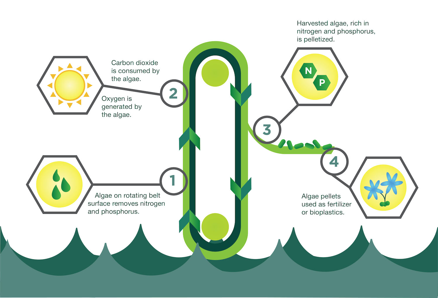 Serpentine solution for algae water treatment