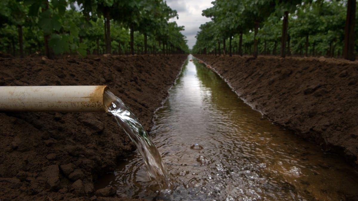 California to impose first statewide rules for winery wastewater, marking new era