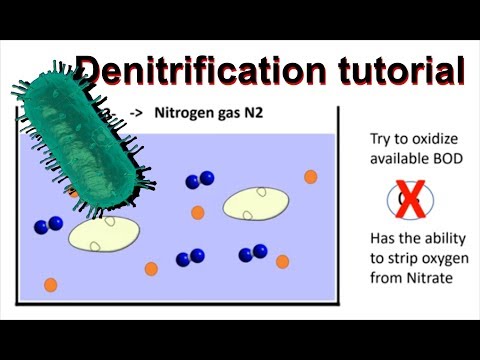 Simultaneous nitrification and denitrification in fixed film applications