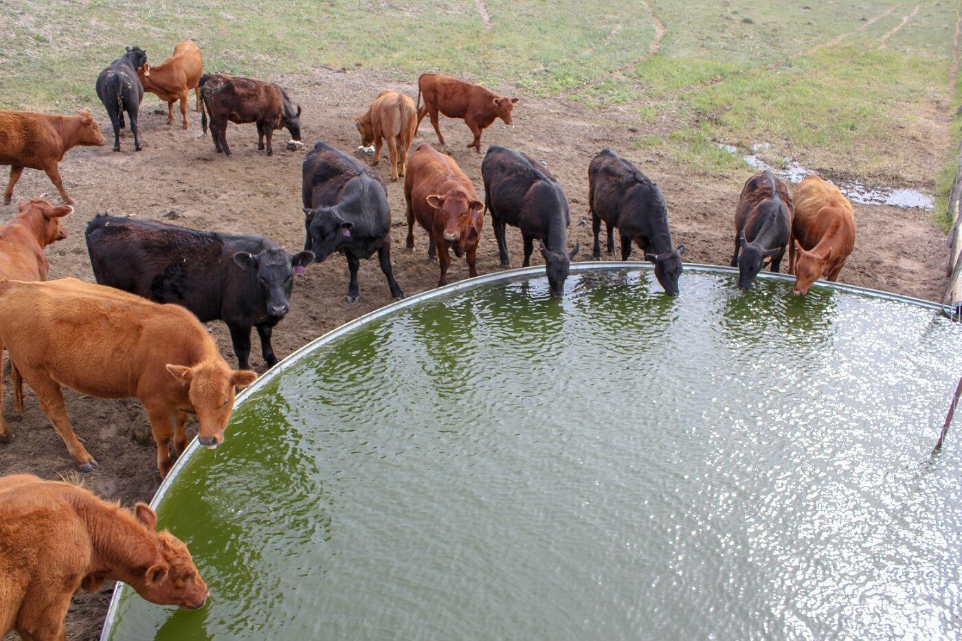 Checking water from afar