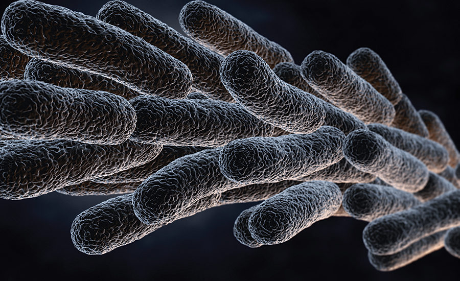 Testing Cooling Tower Water for Total Bacteria and Legionella