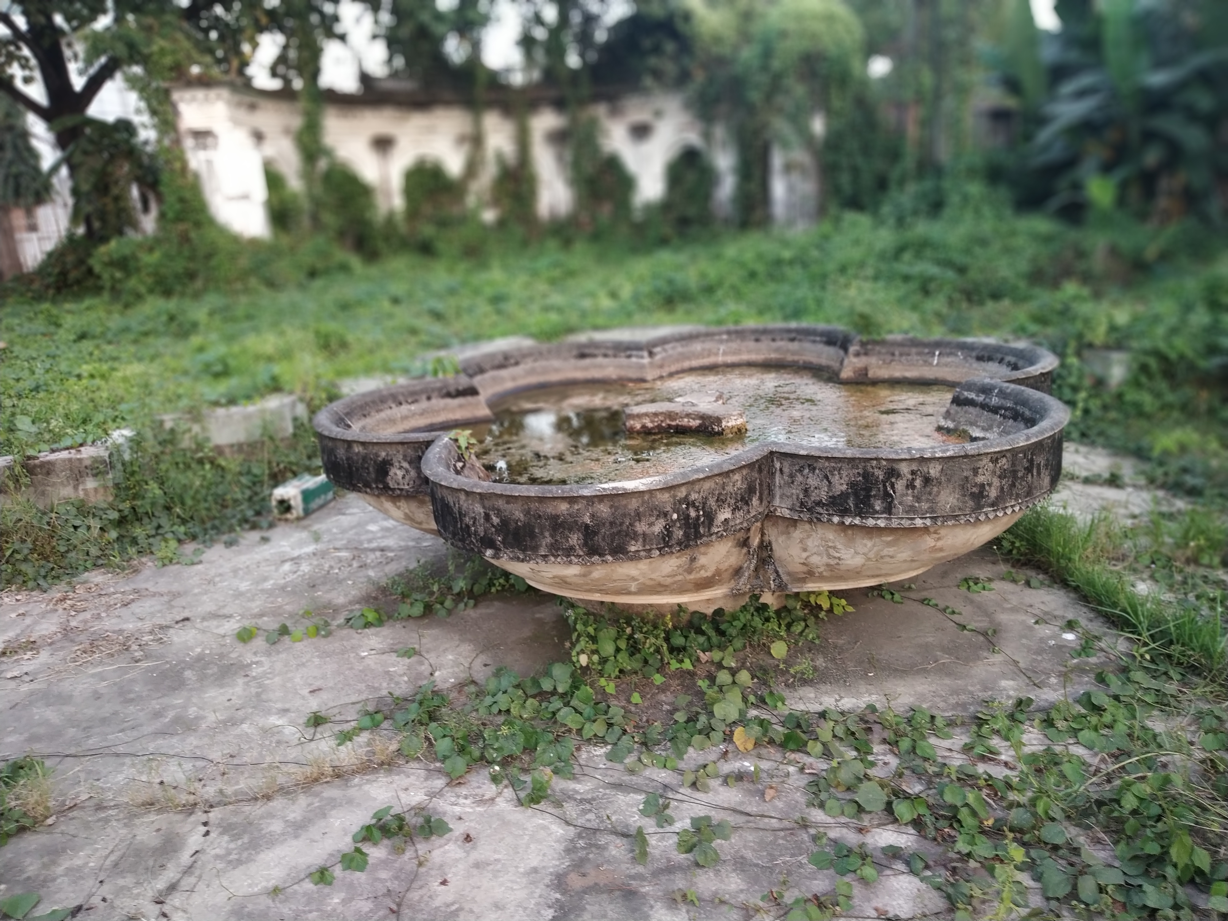 Poor regeneration practices ...
